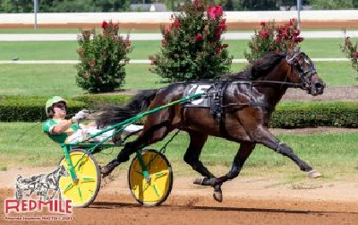 Masiol-stalden satser på ny amerikaner