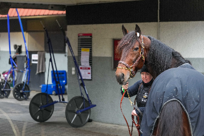 Prix de Paris: Francesco Zet eller Frank Gio ?
