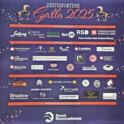 Eftermiddagens program