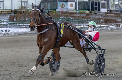 Store Ludvig Cash vokser med opgaverne