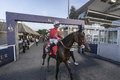 Fransk travavl kan være overraskende