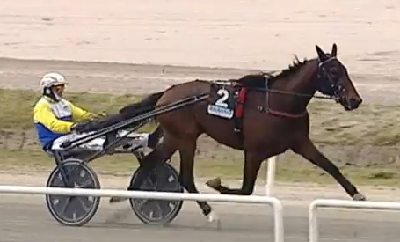 Italiensk Face Time Bourbon-søn – verdens hurtigste 3-åring i 2026