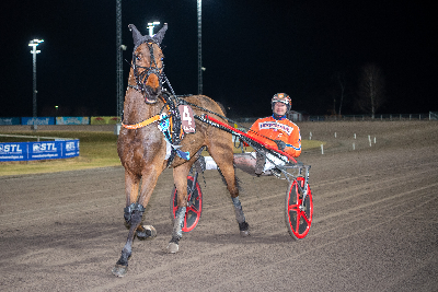 Ideal Stone har startet en ny sejrsmarch