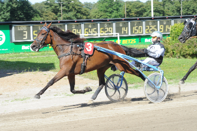 Odense: Kan Rene Kjær overraske?