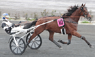 In My Way Damgård har vundet på Malta