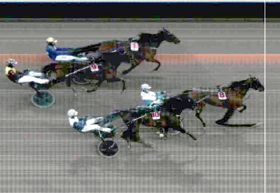 V85: Indy Boy er storfavorit