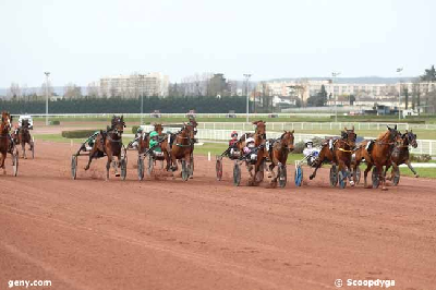 Julien Sensei galoperede