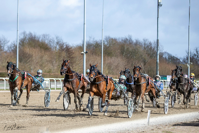 Fine 4-årige hopper