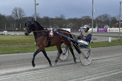 Dansk 4-åring solgt på Travera