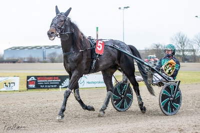 Sekscifrede gevinster i Aalborg