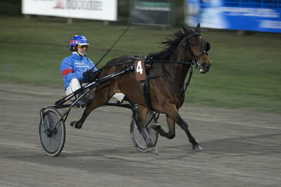Nyt stjernefrø på vej fra Rudbeck!