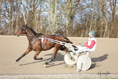 Fik du ikke købt anpart i Maestro – så køb i Melvin K!