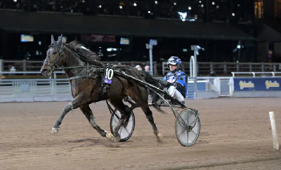 V86: Fem storfavoritter gav ny jackpot pulje