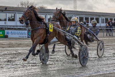 Lunchtrav-Skive: Spændende ungheste i 1. løb