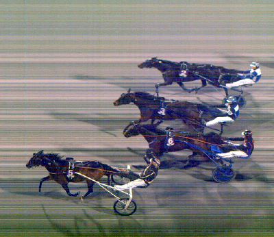 Rubino er startet stærkt i år