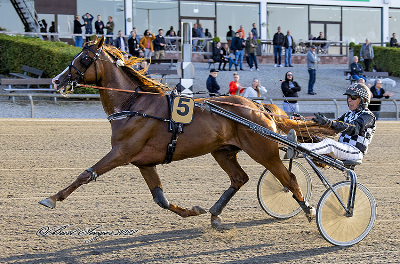 America Dream til Frankrig