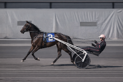 USA: Danskejede Custom fin i qualifier på The Meadowlands