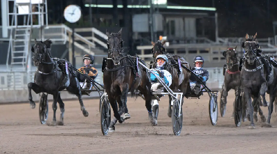 Don Fanucci Zet med kurs mod Elitloppet