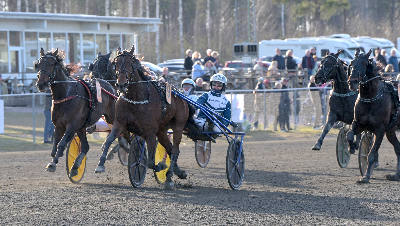 V85: Det blev for svært!