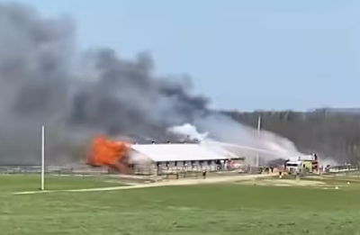 12 heste døde i brand på Hanover Shoe Farm