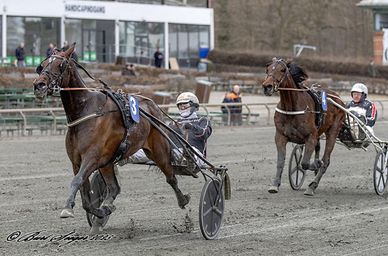 V85: Ikke kun Just Hans