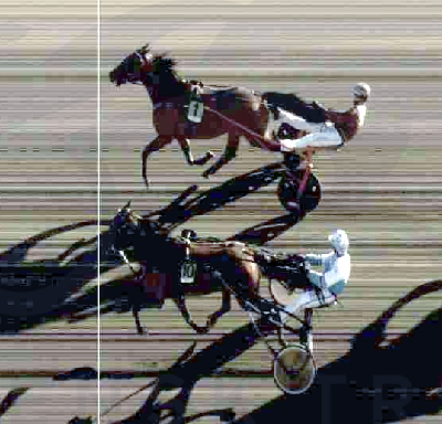 Indy Boy fortsat ubesejret i 2026