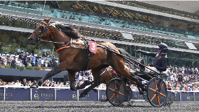 Endnu en franskmand inviteret til Elitloppet
