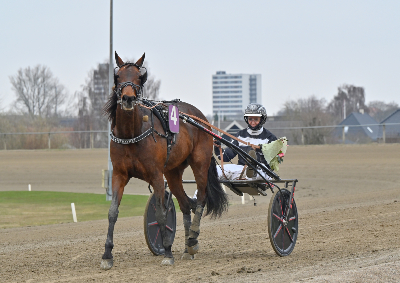 Lønborg-heste sælges på Travera