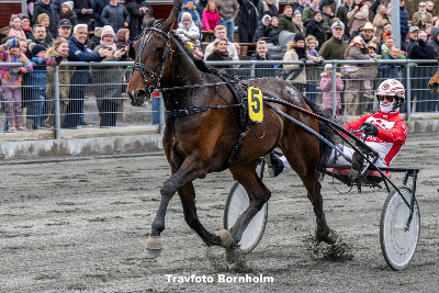 Bornholm: Petersen-familien dominerede