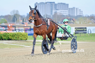Falster fra klokken 12.00