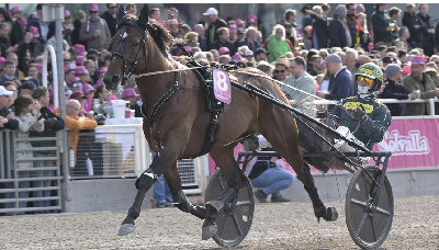 Elitloppet: Finske Massimo Hoist inviteret
