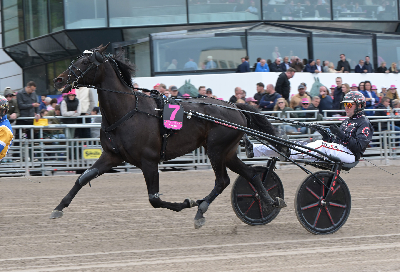 V85-Klosterskogen: Lynheste havde en stor dag