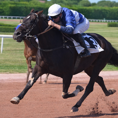 Dowhatyoudodowell i montéløb i eftermiddag