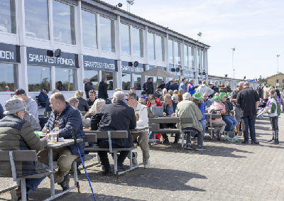 To heste solgt på Skives auktion