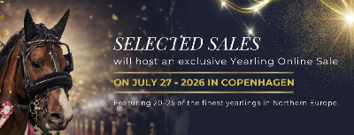 Top-åringer på dansk auktion