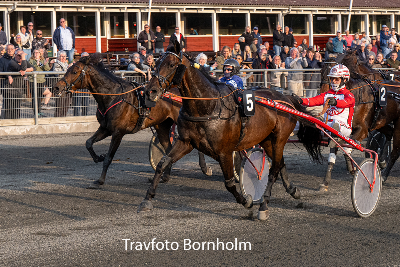 Bornholm: De nye heste var et og to