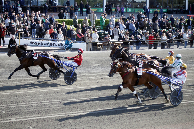 Menhammar Copenhagen Cup 2026 i billeder