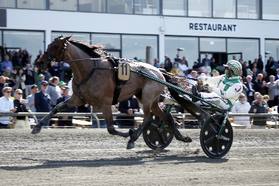 Kommer den til Solvalla?
