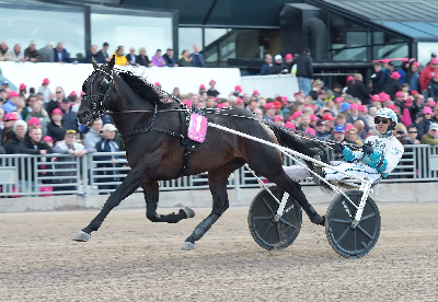 Klar til Elitloppet for sjette gang