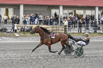 Dream Mine tilbage med sejr
