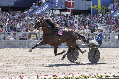 Bet25 Sport: Idao de Tillard vinder Elitloppet!