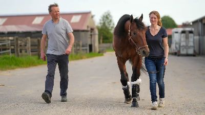 Hestene, der flyver til Elitloppet