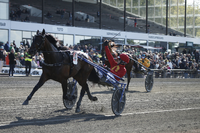 Copenhagen Cup-vinder med gylden afstamning