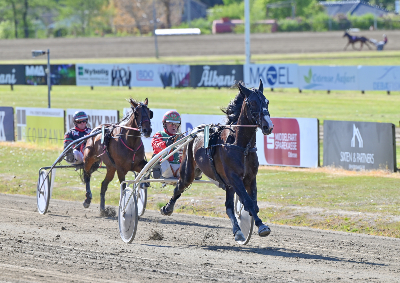Juul har fået sat skik på sin Derbyhest