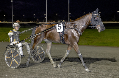 Dansk 3-åring jagter plads i millionfinale