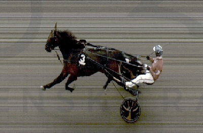 Stærk debut af dansk 3-åring