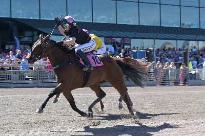 Solvalla: Verdensrekord i Montéeliten