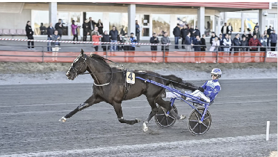 Borups Victory indbudt til Elitloppet