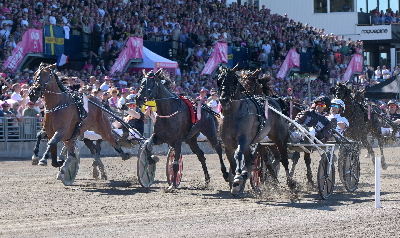 Elitloppet – 1. heat: Don Fanucci Zet vandt efter lynstart