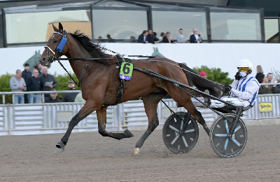 Bet25 Sport klar med masser af fastodds på Elitloppet